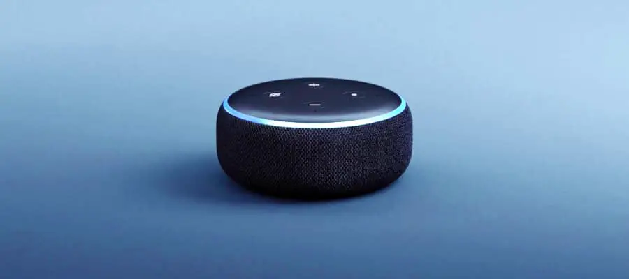Can Amazon Echo Identify Songs