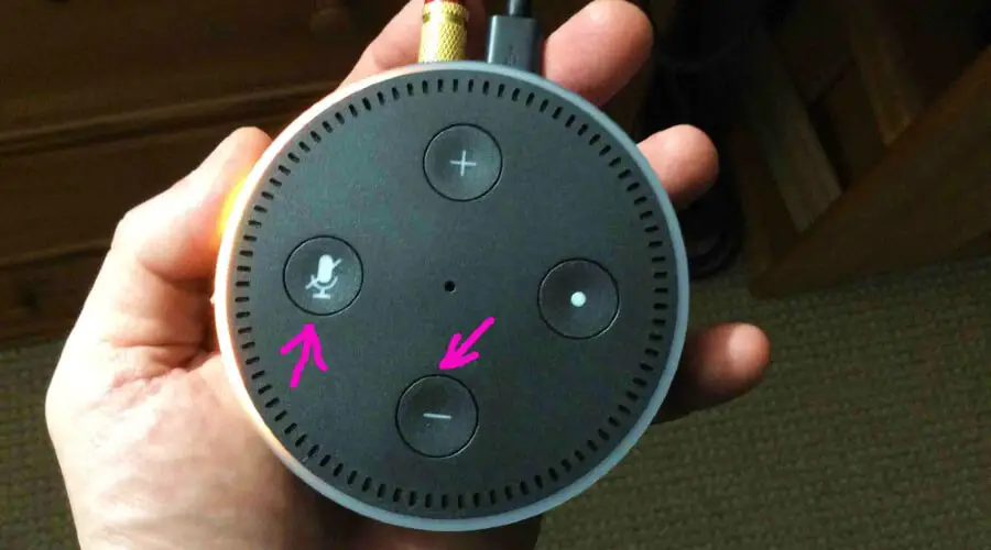 How To Turn Off Echo Dot Light 2023 