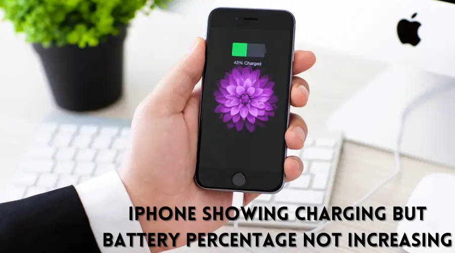 iPhone Showing Charging But Battery Percentage Not Increasing