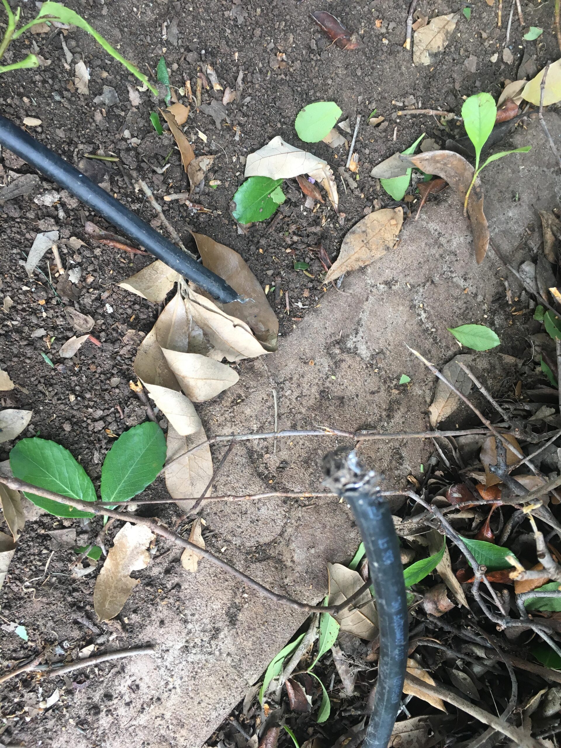 Cost to Repair Cut Cable Line Spectrum